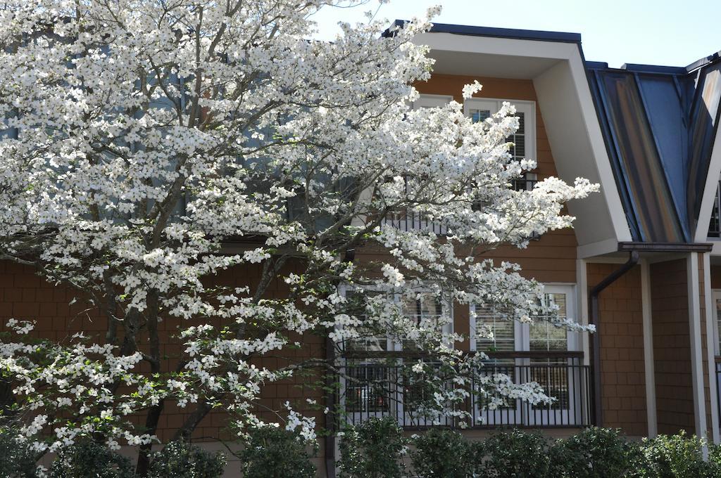 The Residences At Biltmore - Asheville Exteriér fotografie
